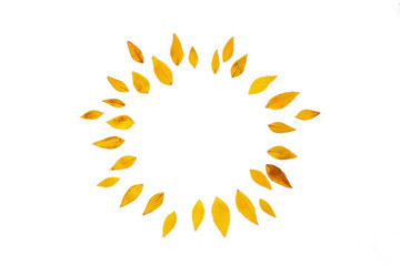 Yellow leaves arranged in round shape on white background. 
