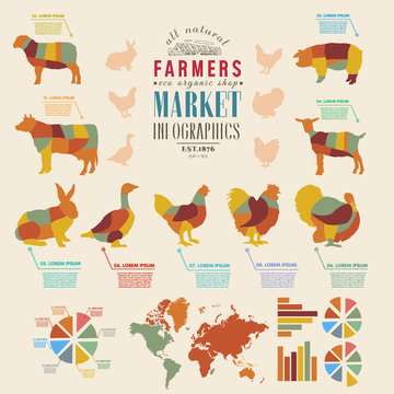 Farm infographics farm animals chickens, cows, sheep, goats