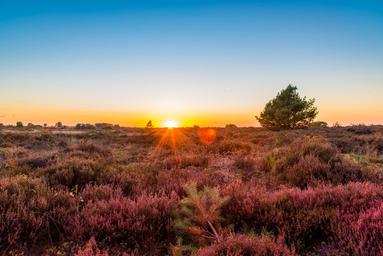 Dutch Landscape, Sallands Heuvel Evening Sunset in Autumn