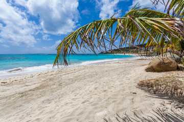 Fototapeta na wymiar Beach in Sint Maarten Island & Saint Martin Island, French West Caribbean