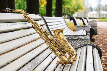 альт саксофон в осеннем парке © evgeniyjm