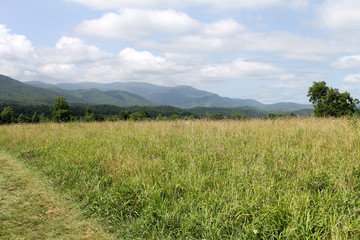 Obraz premium Great Smoky Mountains Caves Cove Field