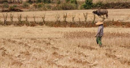 Ackerbau traditionell