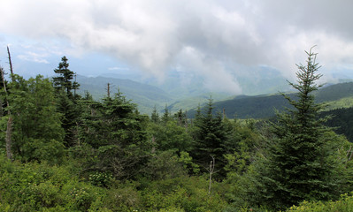 Great Smoky Mountains Clingmans Dome View