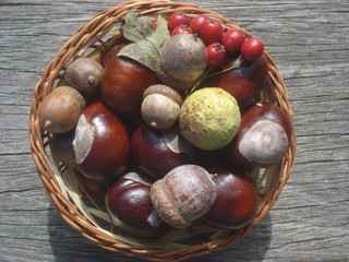 Autumn wild nuts and berries in wicker basket on wooden table