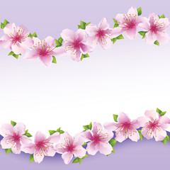 Stylish floral background, greeting card with flower sakura
