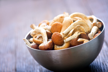 Fototapeta premium raw mushrooms
