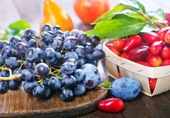 autumn harvest