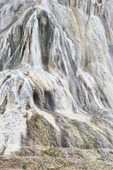 Mammoth Hot Springs, Yellowstone National Park