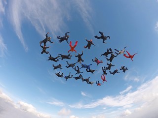 Skydiving people low angle view