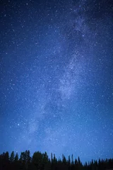 Foto op Plexiglas Nacht Blauwe donkere nachtelijke hemel met sterren boven het veld van bomen.