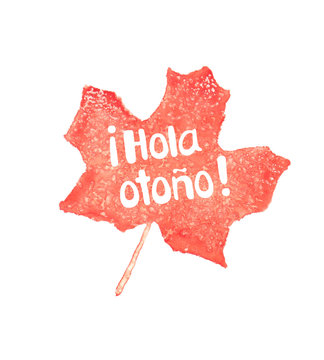 Hola otono watercolor hand drawn lettering on the maple leaf