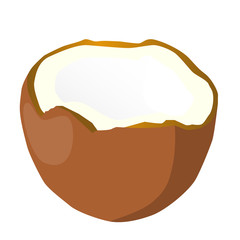 half coconut nut brown isolated vector illustration