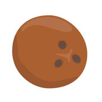 coconut nut brown isolated vector illustration