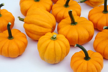 かぼちゃの収穫