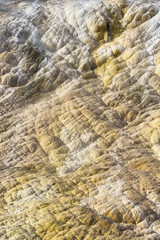 Mammoth Hot Springs, Yellowstone National Park