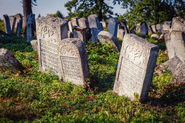 Old jewish cemetery, Poland