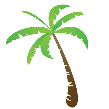 Funny palm tree