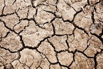 Close up of cracked earth
