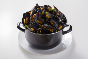 North Sea fresh steamed mussels, tasty seasonal food