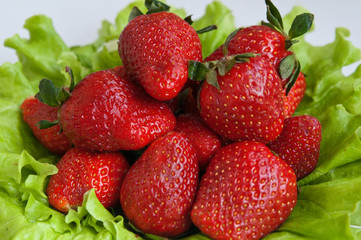 Berries strawberries on lettuce leaves