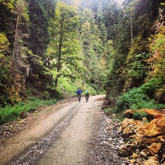 Fototapeta premium Life by Elad's iPhone 