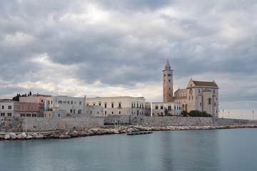 Obraz premium Trani (Apulia, Italy) romanesque cathedral under cloudy sky reflecting in Mediterranean Sea .