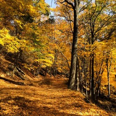 Life by Elad's iPhone 