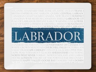 labrador