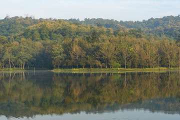 Fototapeta premium tropical forest water lake