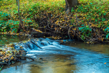 Fototapeta na wymiar Autumn landscape with flowing river and leaves
