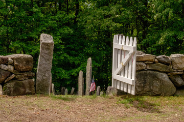 Summer in the Cemetery