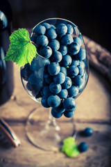 Tasty and fresh red grapes in glass