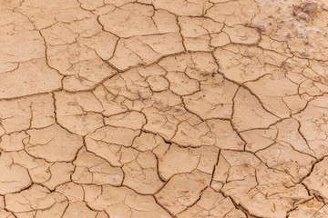 Dry cracked earth texture