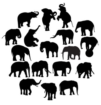 Cute Elephant Silhouettes, illustration art vector design