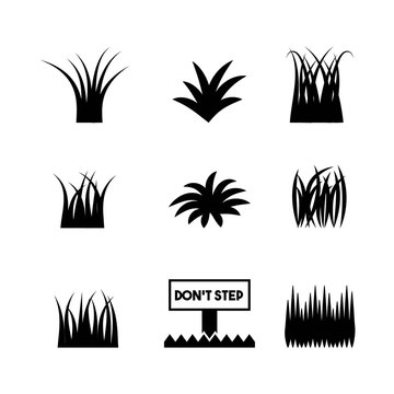 nature grass field background vector illustration design