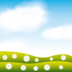 Fototapeta na wymiar garden flowers and grass field vector illustration design