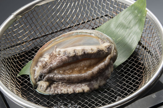 鮑