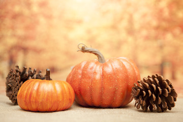 Autumn Thanksgiving Background