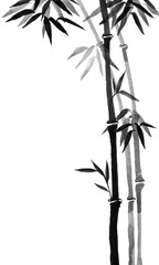 Obraz premium Bamboo trees ink in traditional Japanese painting style sumi-e.