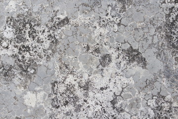 Wooden background or texture , boards floor.