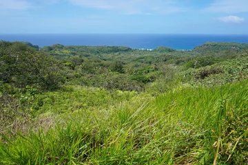 Fotobehang Green vegetation landscape from the heights of the island of Rurutu, south Pacific ocean, Austral archipelago, French Polynesia © dam