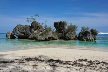 Naklejka premium Large eroded limestone rocks in the lagoon close to sandy beach, Rurutu island, south Pacific ocean, Austral archipelago, French Polynesia