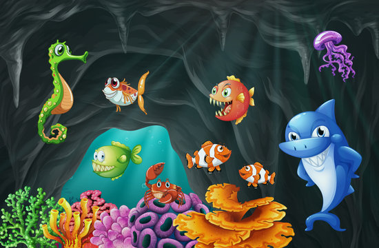 Scene with sea animals underwater