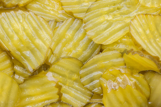 Dill Pickle Slices For Use As A Background.