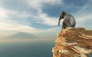 Elephant sitting on edge