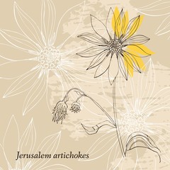 Floral card. Hand drawn Jerusalem artichokes flower. Vector illustration