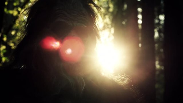 Bigfoot in the Forest with the Sun shinning on his face