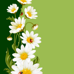 Vector vertical frame with daisies and ladybugs