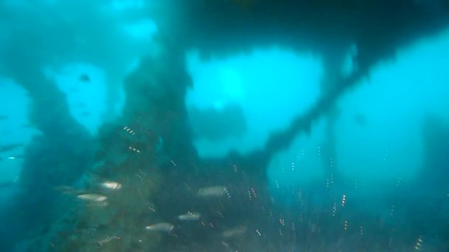 Divers Inside The Ship Wreck